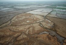 Declining agricultural land area and the future landscape of Bangladesh