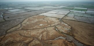 Declining agricultural land area and the future landscape of Bangladesh