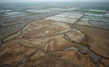 Declining agricultural land area and the future landscape of Bangladesh