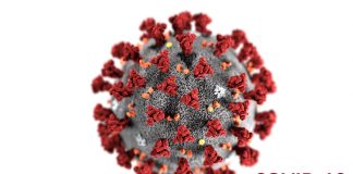 COVID-19: Time to Realise Vulnerability of Human Beings nooesiddiqui.com