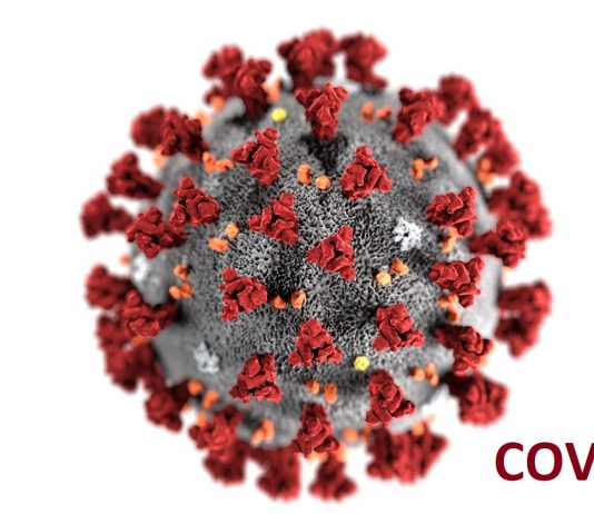 COVID-19: Time to Realise Vulnerability of Human Beings nooesiddiqui.com